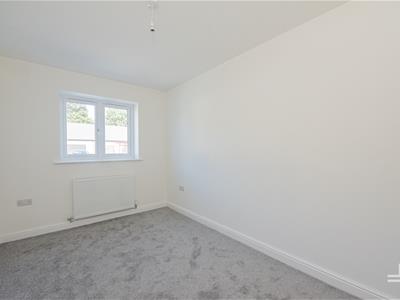 Picture 29